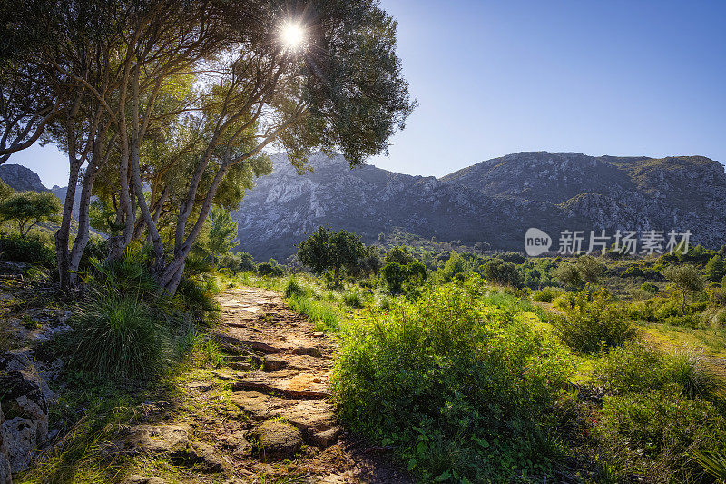 西班牙马略卡岛巴利阿里群岛Artà附近的Serres de levant自然公园的徒步旅行路线